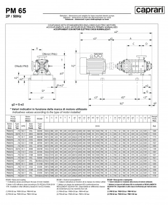 Горизонтальные многоступенчатые насосы высокого давления Caprari PM 65 2200 Горизонтальные многоступенчатые насосы высокого давления Caprari PM 65 2200