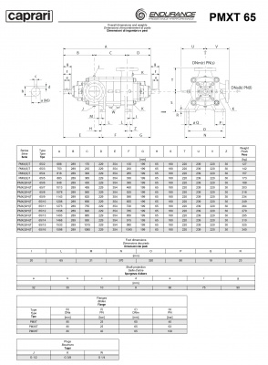 Горизонтальные секционные насосы высокого давления Caprari PMXT 65 2900 из нержавеющей стали Горизонтальные секционные насосы высокого давления Caprari PMXT 65 2900 из нержавеющей стали