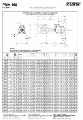 Горизонтальные многоступенчатые насосы высокого давления Caprari PMA 100 2900 Горизонтальные многоступенчатые насосы высокого давления Caprari PMA 100 2900