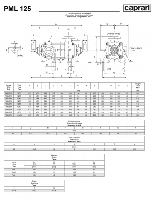 Горизонтальные многоступенчатые насосы высокого давления Caprari PML 125 2200 Горизонтальные многоступенчатые насосы высокого давления Caprari PML 125 2200