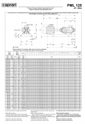Горизонтальные многоступенчатые насосы высокого давления Caprari PML 125 2000 Горизонтальные многоступенчатые насосы высокого давления Caprari PML 125 2000