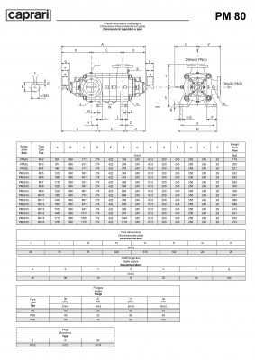 Горизонтальные многоступенчатые насосы высокого давления Caprari PM 80 2000 Горизонтальные многоступенчатые насосы высокого давления Caprari PM 80 2000