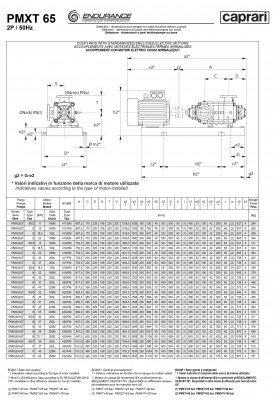Горизонтальные секционные насосы высокого давления Caprari PMXT 65 2900 из нержавеющей стали Горизонтальные секционные насосы высокого давления Caprari PMXT 65 2900 из нержавеющей стали