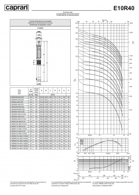 Скважинные насосы Caprari E10R40 из чугуна Скважинные насосы Caprari E10R40 из чугуна