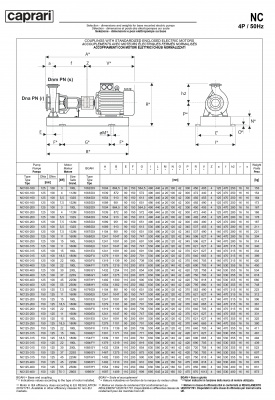 Одноступенчатые горизонтальные центробежные насосы Caprari NC 100-400 1450 Одноступенчатые горизонтальные центробежные насосы Caprari NC 100-400 1450