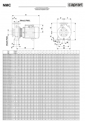 Поверхностные одноступенчатые консольно-моноблочные насосы Caprari NMC 40 2P Поверхностные одноступенчатые консольно-моноблочные насосы Caprari NMC 40 2P