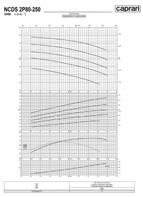 Одноступенчатые горизонтальные центробежные насосы Caprari NCDS 2P80-250 3450 Одноступенчатые горизонтальные центробежные насосы Caprari NCDS 2P80-250 3450