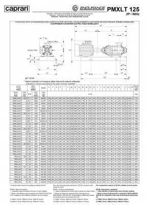 Горизонтальные секционные насосы высокого давления Caprari PMXLT 125 1750 из нержавеющей стали Горизонтальные секционные насосы высокого давления Caprari PMXLT 125 1750 из нержавеющей стали