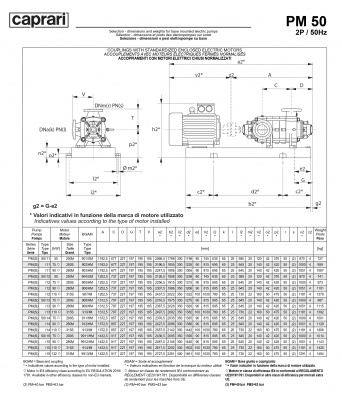 Горизонтальные многоступенчатые насосы высокого давления Caprari PM 50 2200 Горизонтальные многоступенчатые насосы высокого давления Caprari PM 50 2200