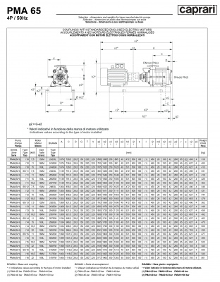 Горизонтальные многоступенчатые насосы высокого давления Caprari PMA 65 2900 Горизонтальные многоступенчатые насосы высокого давления Caprari PMA 65 2900