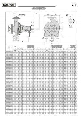 Одноступенчатые горизонтальные центробежные насосы Caprari NCDS 2P32L-160 3450 Одноступенчатые горизонтальные центробежные насосы Caprari NCDS 2P32L-160 3450