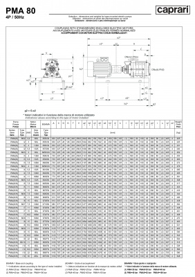 Горизонтальные многоступенчатые насосы высокого давления Caprari PMA 80 2900 Горизонтальные многоступенчатые насосы высокого давления Caprari PMA 80 2900