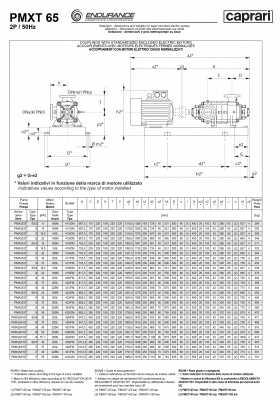 Горизонтальные секционные насосы высокого давления Caprari PMXT 65 1450 из нержавеющей стали Горизонтальные секционные насосы высокого давления Caprari PMXT 65 1450 из нержавеющей стали