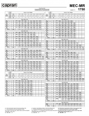 Горизонтальные многоступенчатые насосы Caprari MEC-MR 1750 Горизонтальные многоступенчатые насосы Caprari MEC-MR 1750