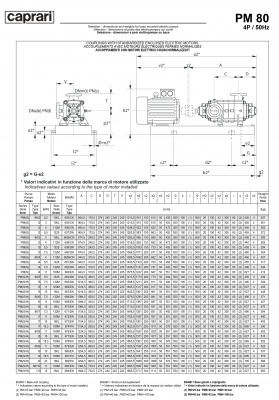 Горизонтальные многоступенчатые насосы высокого давления Caprari PM 80 1750 Горизонтальные многоступенчатые насосы высокого давления Caprari PM 80 1750