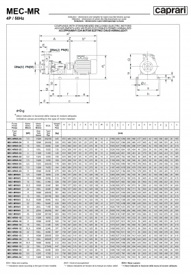 Горизонтальные многоступенчатые насосы Caprari MEC-MR 2900 Горизонтальные многоступенчатые насосы Caprari MEC-MR 2900