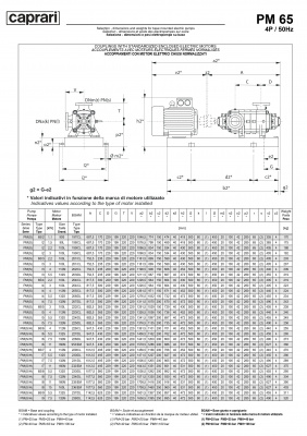 Горизонтальные многоступенчатые насосы высокого давления Caprari PM 65 2900 Горизонтальные многоступенчатые насосы высокого давления Caprari PM 65 2900