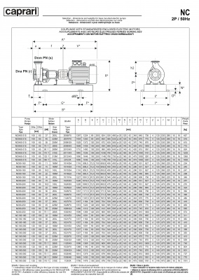 Одноступенчатые горизонтальные центробежные насосы Caprari NC 100-200 2900 Одноступенчатые горизонтальные центробежные насосы Caprari NC 100-200 2900