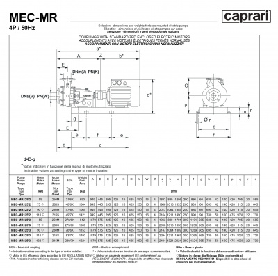Горизонтальные многоступенчатые насосы Caprari MEC-MR 1750 Горизонтальные многоступенчатые насосы Caprari MEC-MR 1750