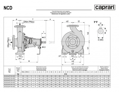 Одноступенчатые горизонтальные центробежные насосы Caprari NCDS 4P150-315 1750 Одноступенчатые горизонтальные центробежные насосы Caprari NCDS 4P150-315 1750