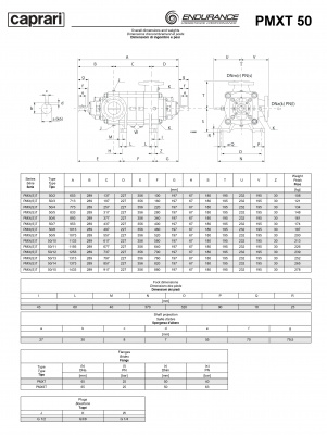 Горизонтальные секционные насосы высокого давления Caprari PMXT 50 1450 из нержавеющей стали Горизонтальные секционные насосы высокого давления Caprari PMXT 50 1450 из нержавеющей стали