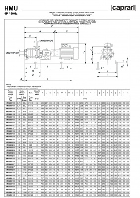 Горизонтальные секционные насосы высокого давления Caprari NMU 1450 Горизонтальные секционные насосы высокого давления Caprari NMU 1450