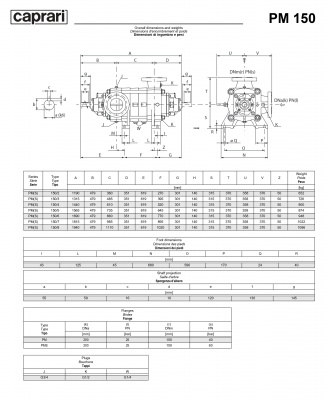 Горизонтальные многоступенчатые насосы высокого давления Caprari PM 150 1750 Горизонтальные многоступенчатые насосы высокого давления Caprari PM 150 1750