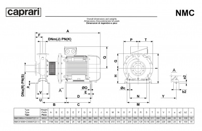 Поверхностные одноступенчатые консольно-моноблочные насосы Caprari NMC 80 2P Поверхностные одноступенчатые консольно-моноблочные насосы Caprari NMC 80 2P