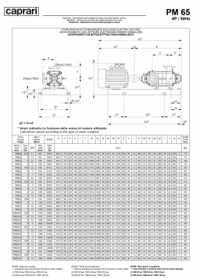 Горизонтальные многоступенчатые насосы высокого давления Caprari PM 65 2200 Горизонтальные многоступенчатые насосы высокого давления Caprari PM 65 2200