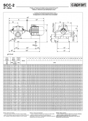Горизонтальные насосы двустороннего входа Caprari SCC-2-150-315 1450 Горизонтальные насосы двустороннего входа Caprari SCC-2-150-315 1450