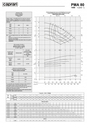 Горизонтальные многоступенчатые насосы высокого давления Caprari PMA 80 1450 Горизонтальные многоступенчатые насосы высокого давления Caprari PMA 80 1450