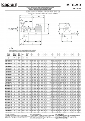 Горизонтальные многоступенчатые насосы Caprari MEC-MR 2650 Горизонтальные многоступенчатые насосы Caprari MEC-MR 2650