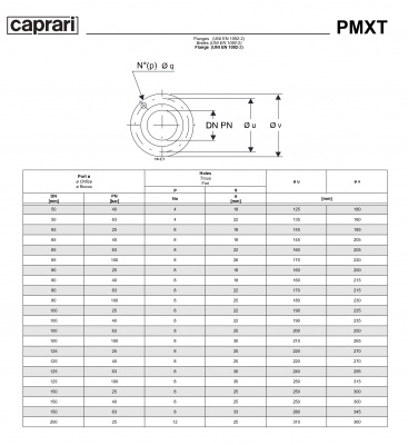 Горизонтальные секционные насосы высокого давления Caprari PMXLT 150 1150 из нержавеющей стали Горизонтальные секционные насосы высокого давления Caprari PMXLT 150 1150 из нержавеющей стали