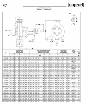 Одноступенчатые горизонтальные центробежные насосы Caprari NC 125-400 1450 Одноступенчатые горизонтальные центробежные насосы Caprari NC 125-400 1450