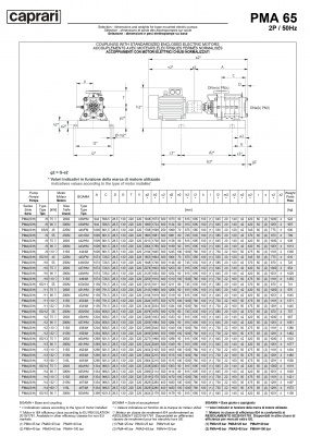 Горизонтальные многоступенчатые насосы высокого давления Caprari PMA 65 3500 Горизонтальные многоступенчатые насосы высокого давления Caprari PMA 65 3500