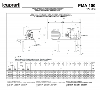 Горизонтальные многоступенчатые насосы высокого давления Caprari PMA 100 1450 Горизонтальные многоступенчатые насосы высокого давления Caprari PMA 100 1450