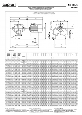 Горизонтальные насосы двустороннего входа Caprari SCC-2-250-350 1450 Горизонтальные насосы двустороннего входа Caprari SCC-2-250-350 1450