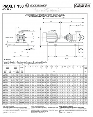 Горизонтальные секционные насосы высокого давления Caprari PMXLT 150 2900 из нержавеющей стали Горизонтальные секционные насосы высокого давления Caprari PMXLT 150 2900 из нержавеющей стали