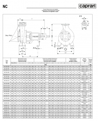 Одноступенчатые горизонтальные центробежные насосы Caprari NC 100-250 2900 Одноступенчатые горизонтальные центробежные насосы Caprari NC 100-250 2900