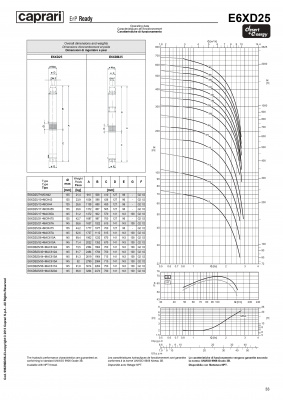 Скважинные насосы Caprari для воды с большим содержанием песка DESERT ENERGY E6XD25 Скважинные насосы Caprari для воды с большим содержанием песка DESERT ENERGY E6XD25
