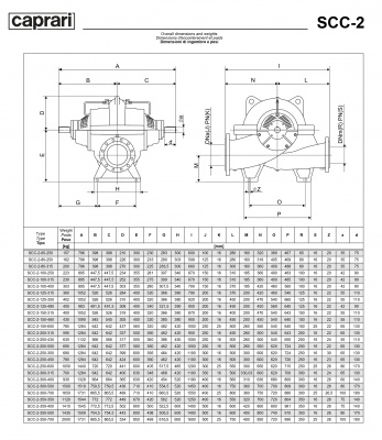 Горизонтальные насосы двустороннего входа Caprari SCC-2-350-350 1450 Горизонтальные насосы двустороннего входа Caprari SCC-2-350-350 1450