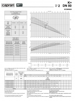 Погружные канализационные элктронасосы Caprari KCW080H Погружные канализационные элктронасосы Caprari KCW080H