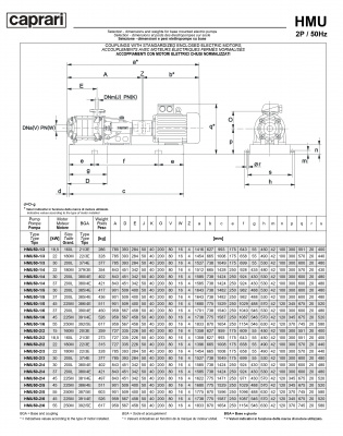 Горизонтальные секционные насосы высокого давления Caprari NMU 2900 Горизонтальные секционные насосы высокого давления Caprari NMU 2900