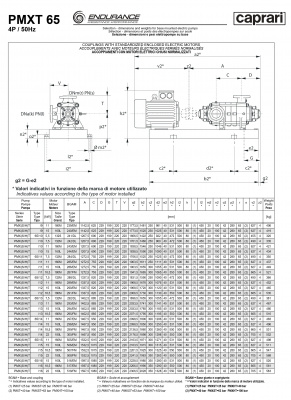 Горизонтальные секционные насосы высокого давления Caprari PMXT 65 2900 из нержавеющей стали Горизонтальные секционные насосы высокого давления Caprari PMXT 65 2900 из нержавеющей стали