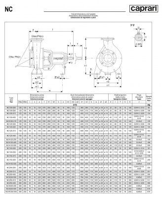 Одноступенчатые горизонтальные центробежные насосы Caprari NC 200-250 1450 Одноступенчатые горизонтальные центробежные насосы Caprari NC 200-250 1450