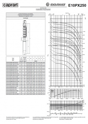 Скважинные насосы Caprari E10PX250 из нержавеющей стали Скважинные насосы Caprari E10PX250 из нержавеющей стали