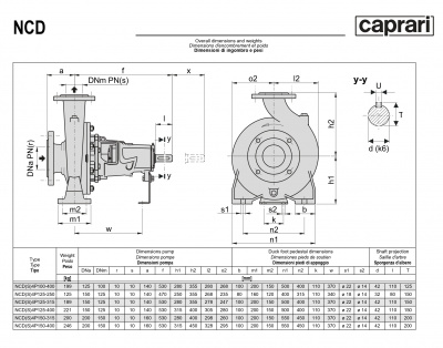 Одноступенчатые горизонтальные центробежные насосы Caprari NCDS 4P125-250 1750 Одноступенчатые горизонтальные центробежные насосы Caprari NCDS 4P125-250 1750