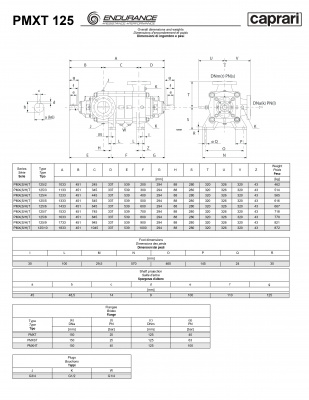 Горизонтальные секционные насосы высокого давления Caprari PMXT 125 2000 из нержавеющей стали Горизонтальные секционные насосы высокого давления Caprari PMXT 125 2000 из нержавеющей стали