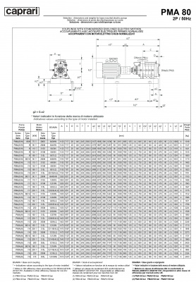 Горизонтальные многоступенчатые насосы высокого давления Caprari PMA 80 2900 Горизонтальные многоступенчатые насосы высокого давления Caprari PMA 80 2900
