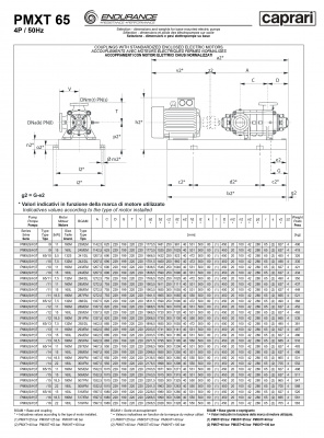 Горизонтальные секционные насосы высокого давления Caprari PMXT 65 1750 из нержавеющей стали Горизонтальные секционные насосы высокого давления Caprari PMXT 65 1750 из нержавеющей стали